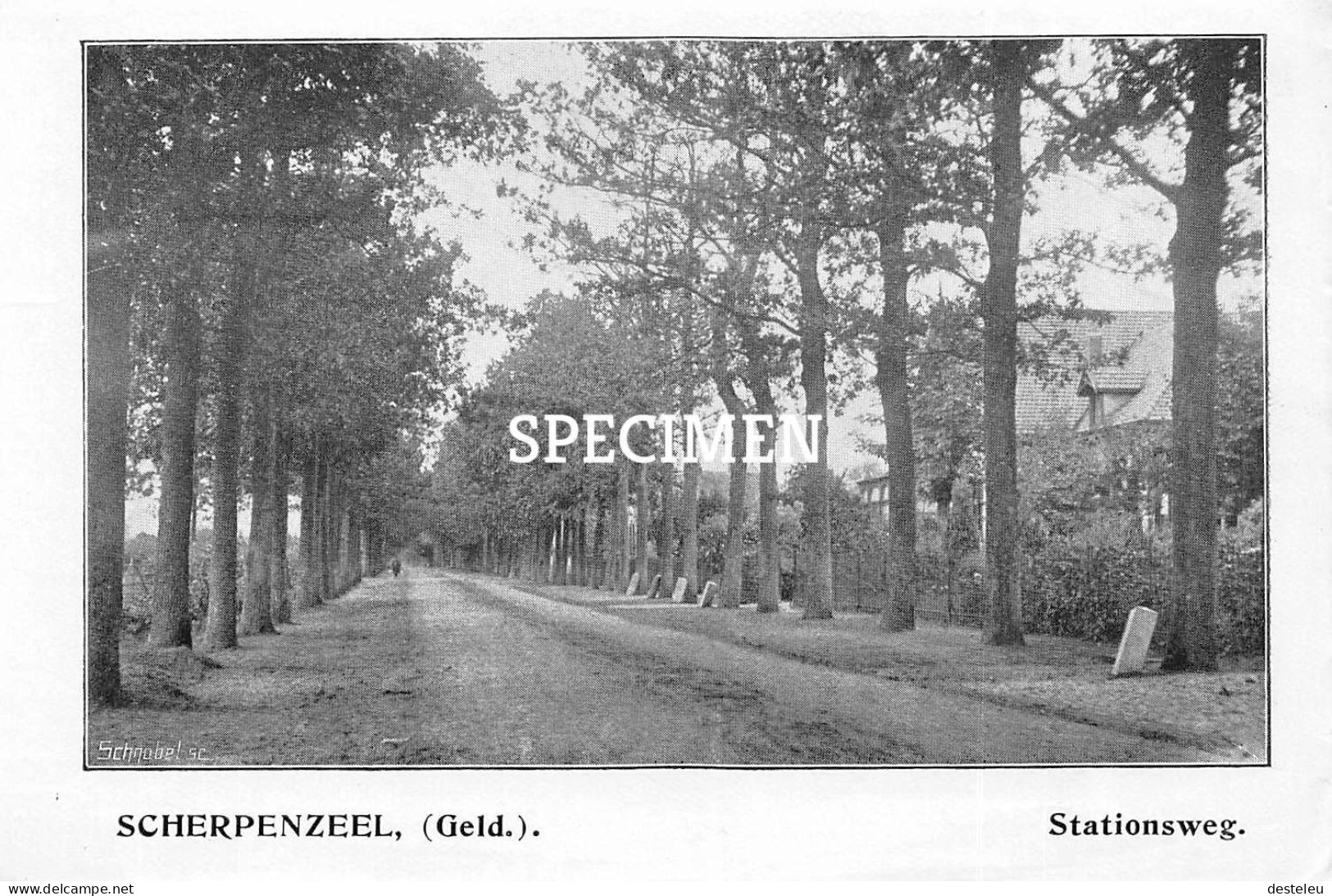 Prent - Stationsweg Scherpenzeel  - 8.5x12.5 Cm - Andere & Zonder Classificatie