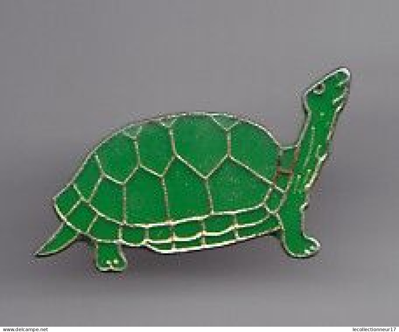 Pin's Tortue De Couleur Verte Réf 4564 - Tiere