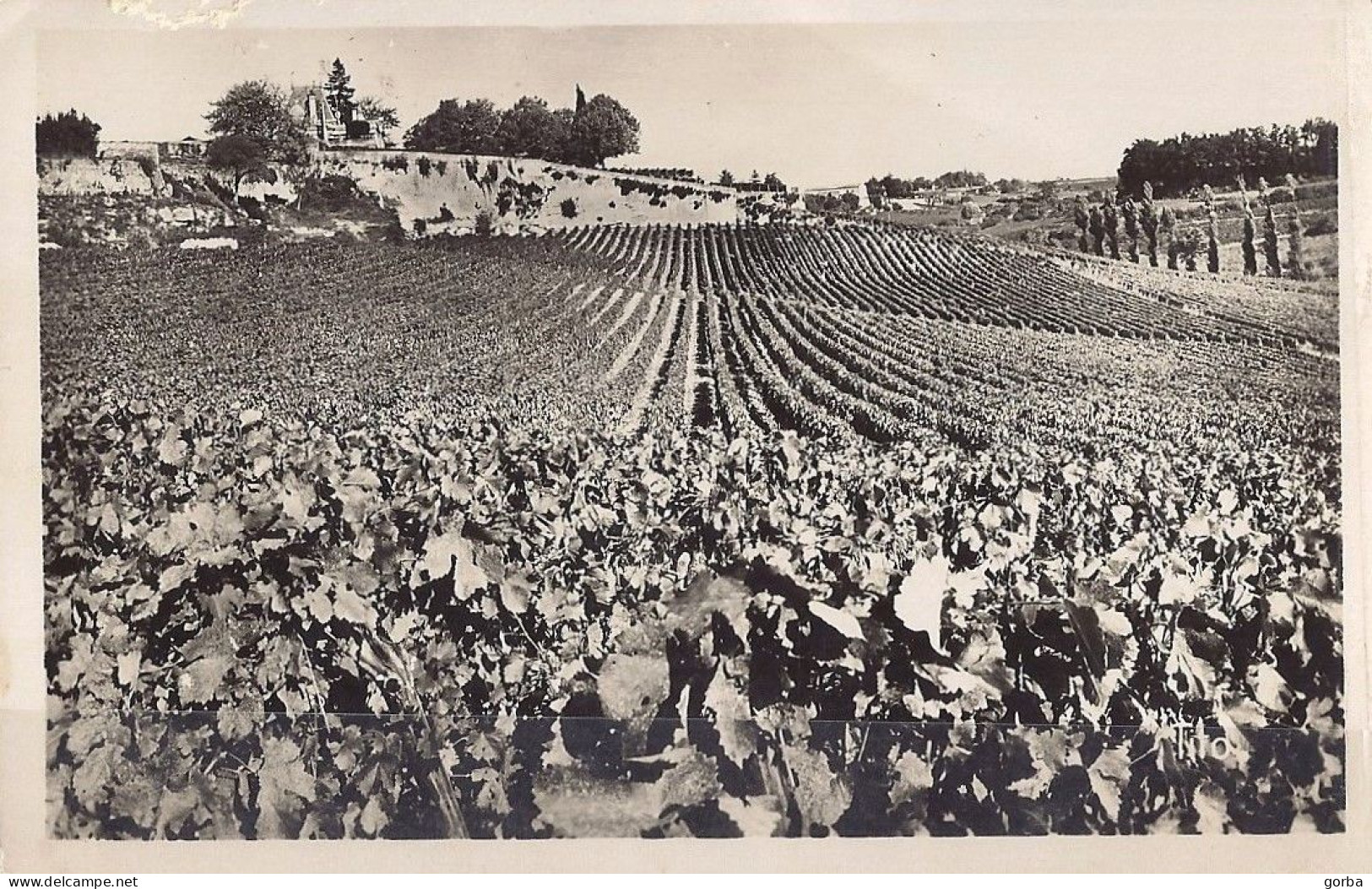 *CPA - 33 - SAINT EMILION - Château Ausone - Le Vignoble - Saint-Emilion