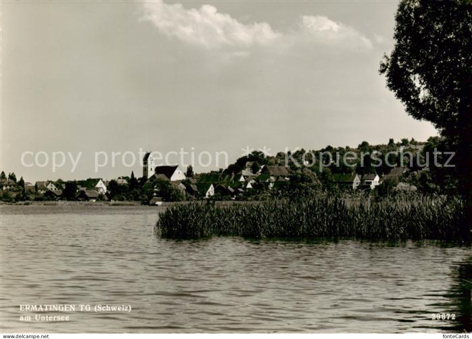 13852637 Ermatingen Untersee Panorama Ermatingen Untersee - Autres & Non Classés