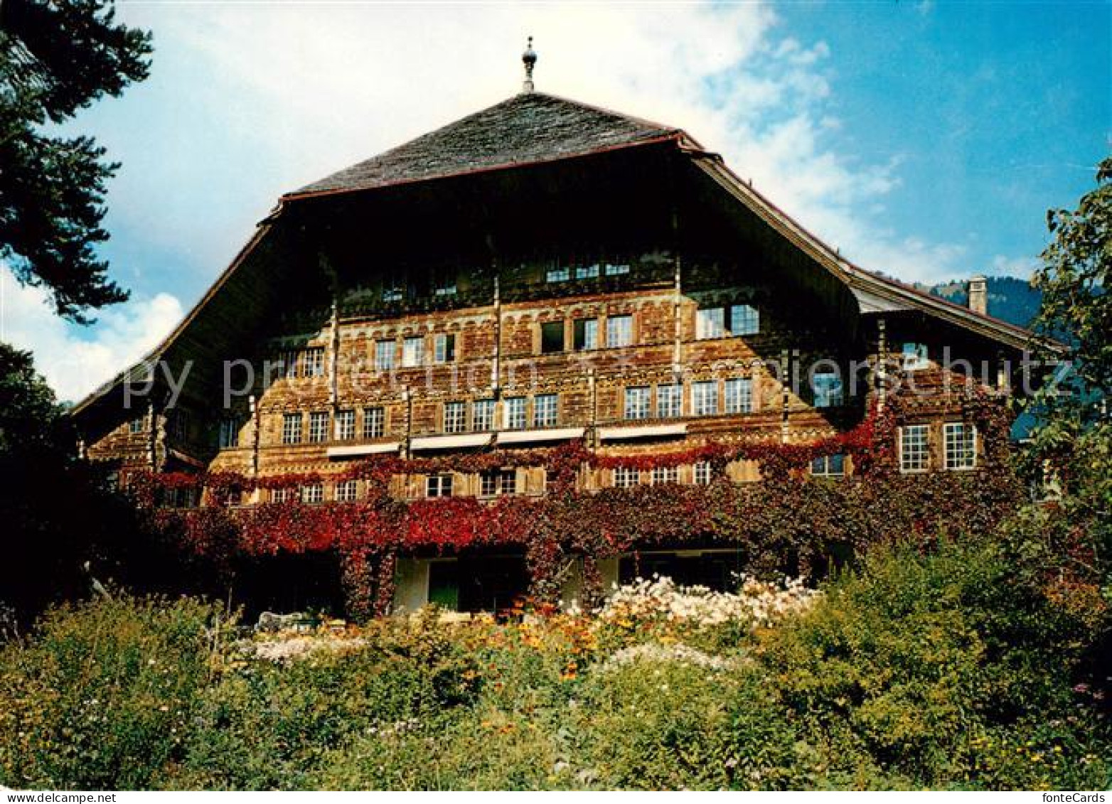 13843489 Rossiniere VD Le Grand Chalet  - Sonstige & Ohne Zuordnung