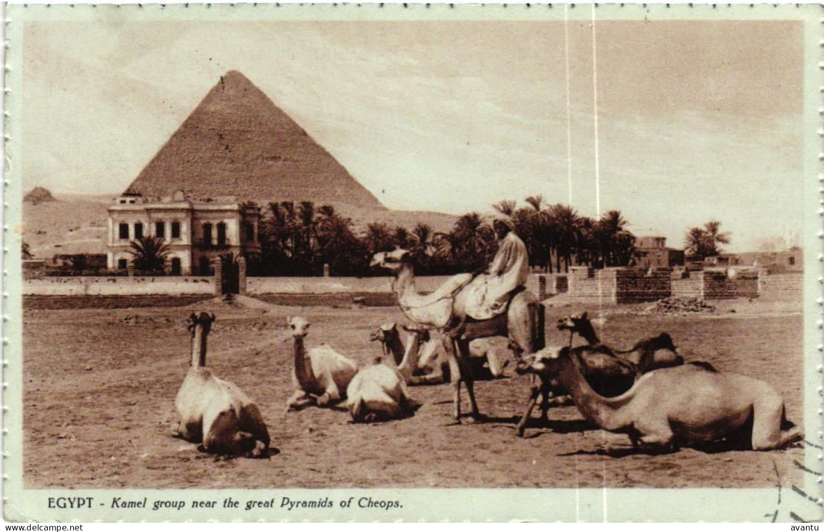 EGYPTE / CAIRO - Le Caire