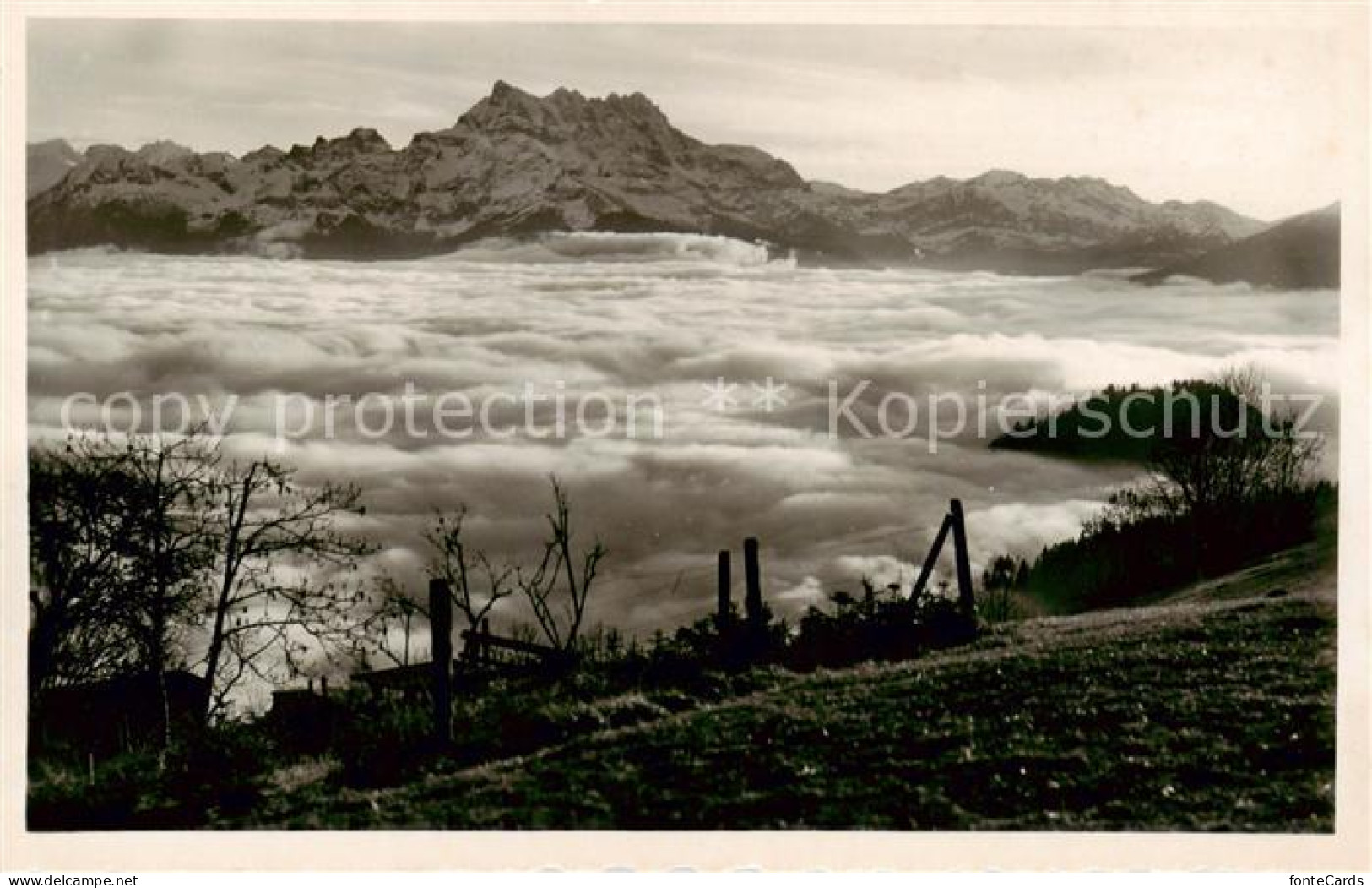 13842737 Leysin VD Les Dents Du Midi Et La Mer De Brouillard Dans La Vallee Du R - Sonstige & Ohne Zuordnung