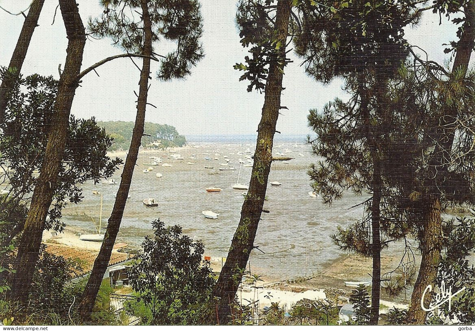 *CPM - 33 - ARCACHON - Echappée Sur Le Bassin - Carte Toilée - Arcachon