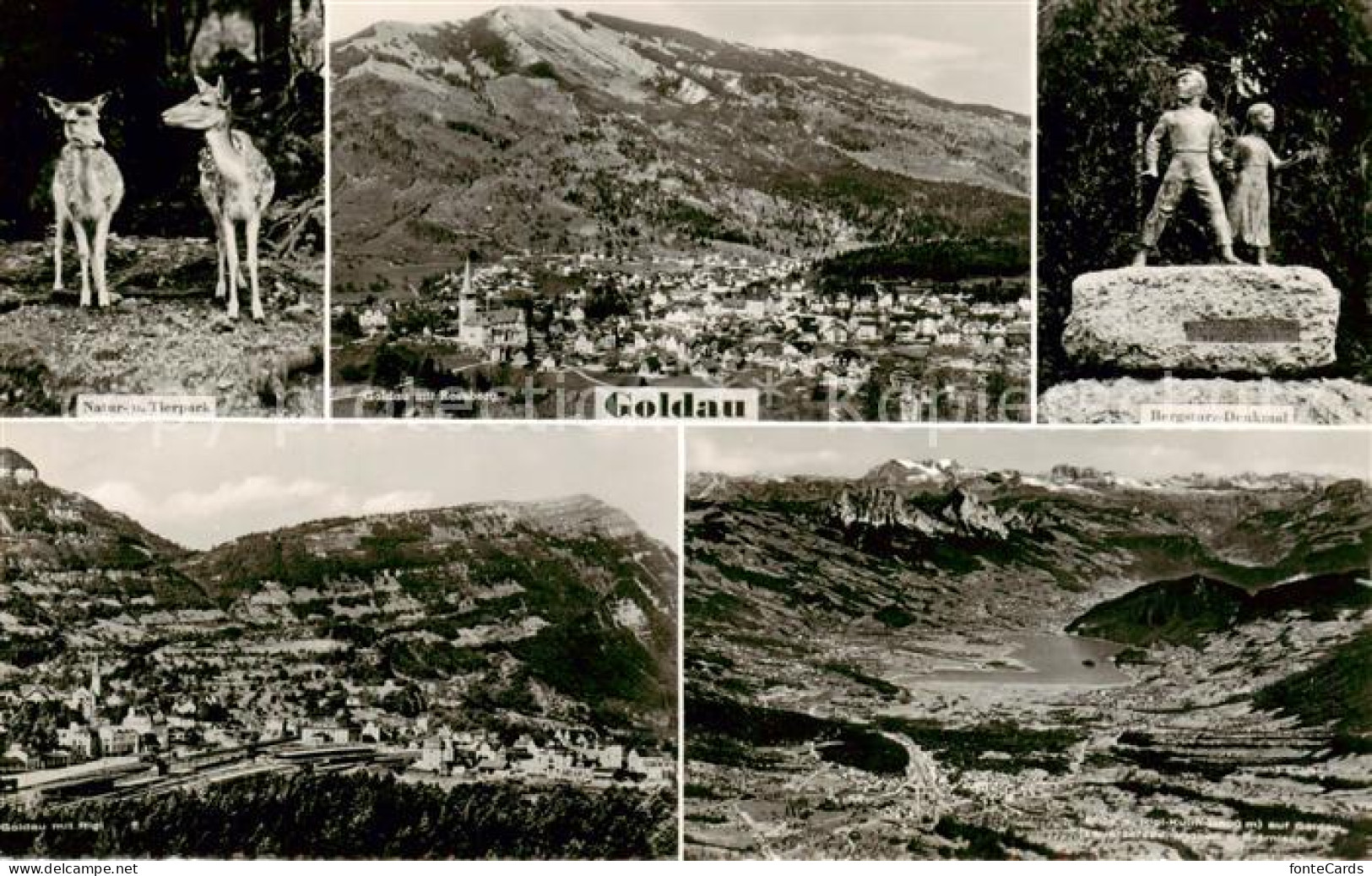 13842707 Goldau Arth SZ Natur Und Tierpark Panorama Bergsturz Denkmal   - Andere & Zonder Classificatie