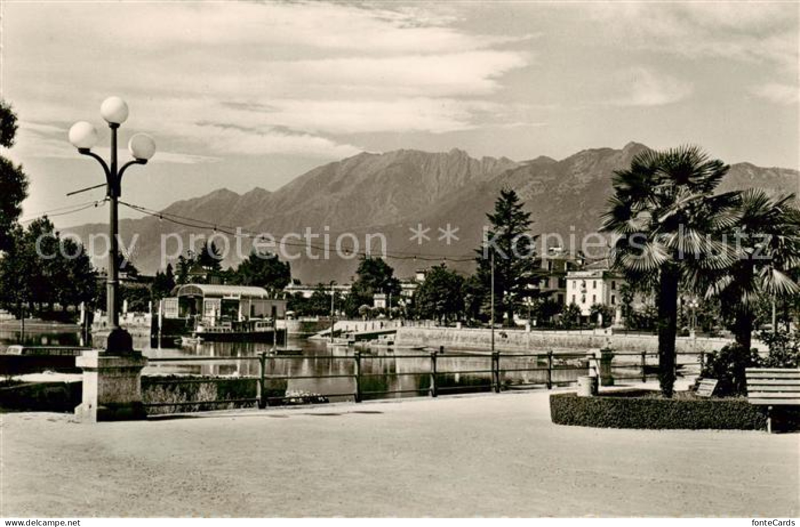 13842687 Muralto Locarno Lago Maggiore TI Panorama  - Autres & Non Classés