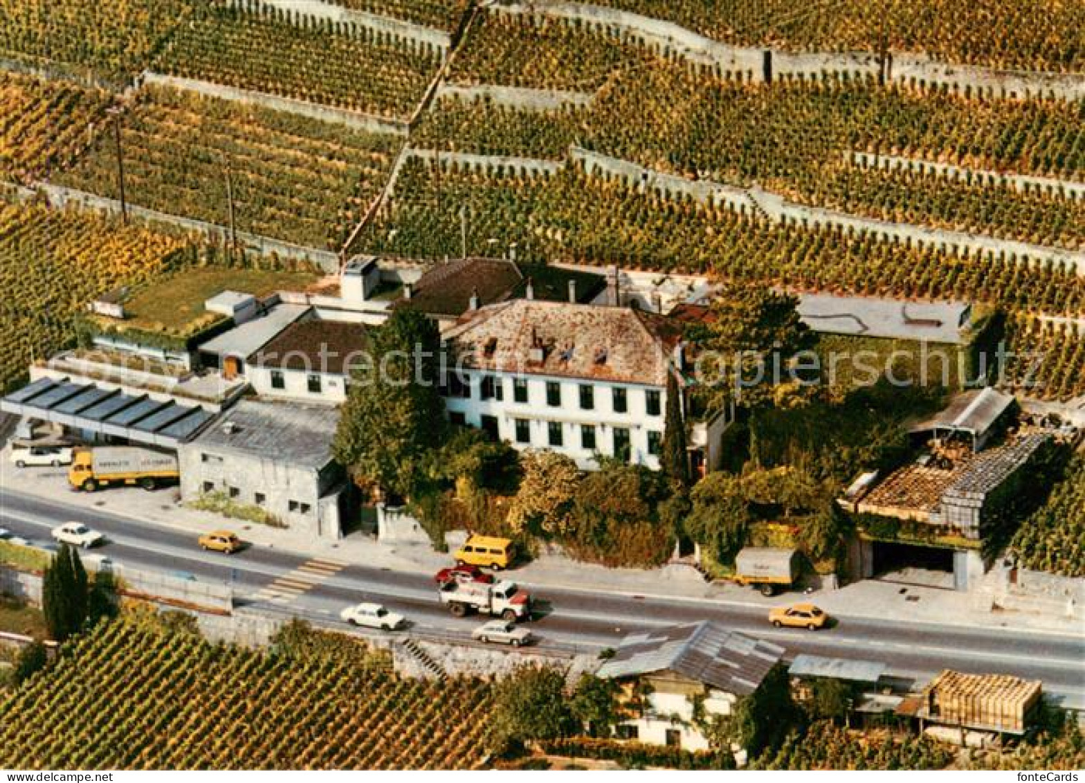 13837509 Treytorrens VD Domaine Jean Et Pierre Testuz Vue Aerienne  - Sonstige & Ohne Zuordnung