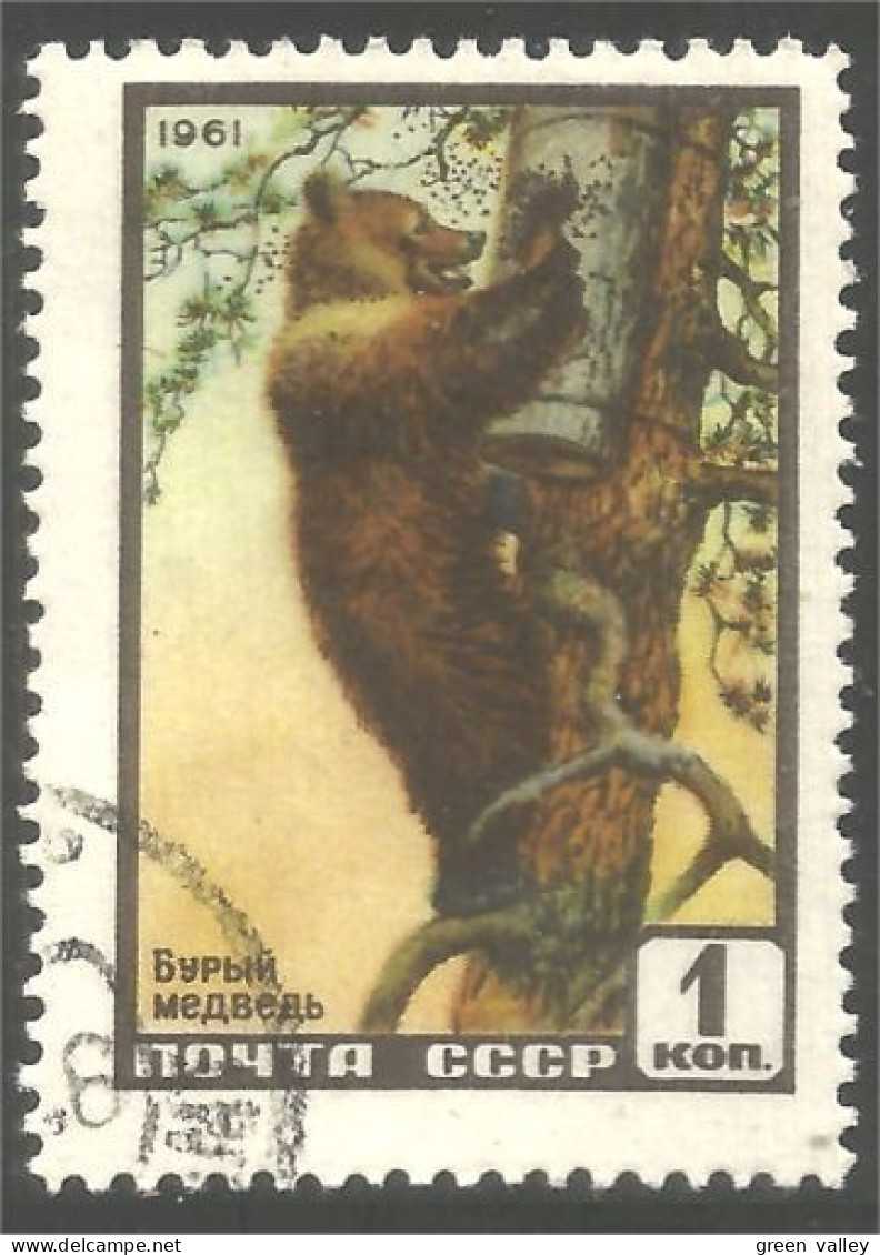 AS-180a Russie Bar Ours Bear Orso Suportar Soportar Oso - Bears