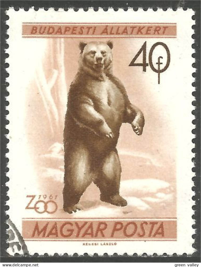 AS-170 Hungary Bar Ours Bear Orso Suportar Soportar Oso - Ours