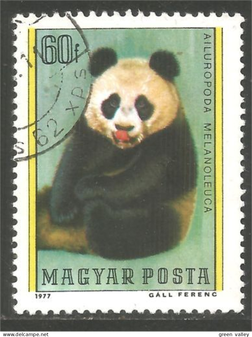 AS-167 Hungary Panda Bar Ours Bear Orso Suportar Soportar Oso - Bären