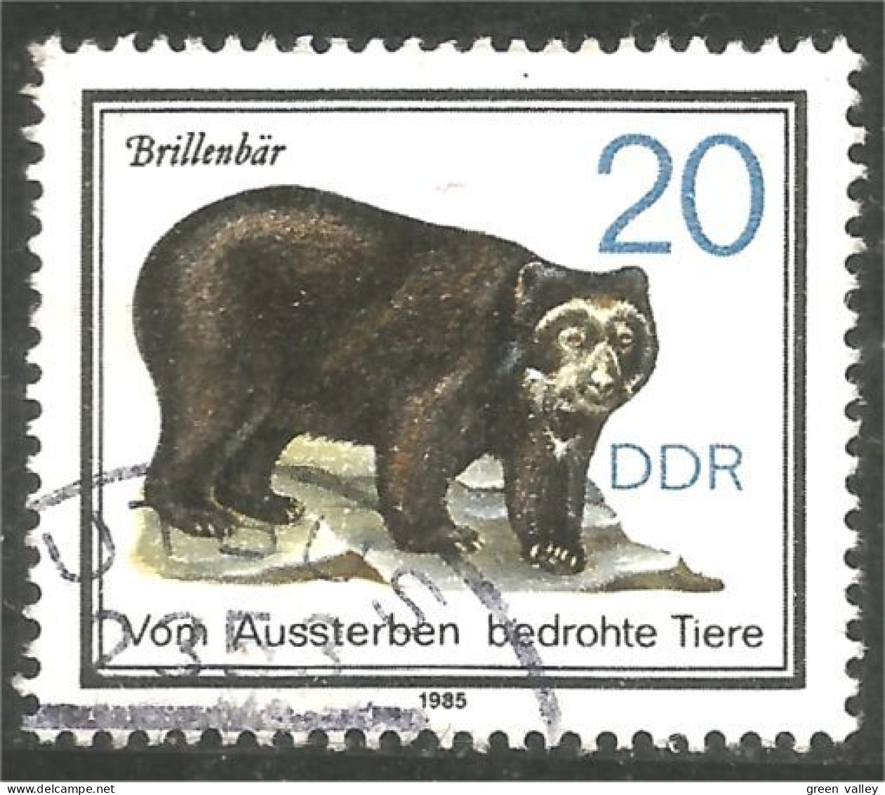 AS-163 DDR Bar Ours Bear Orso Suportar Soportar Oso - Bären