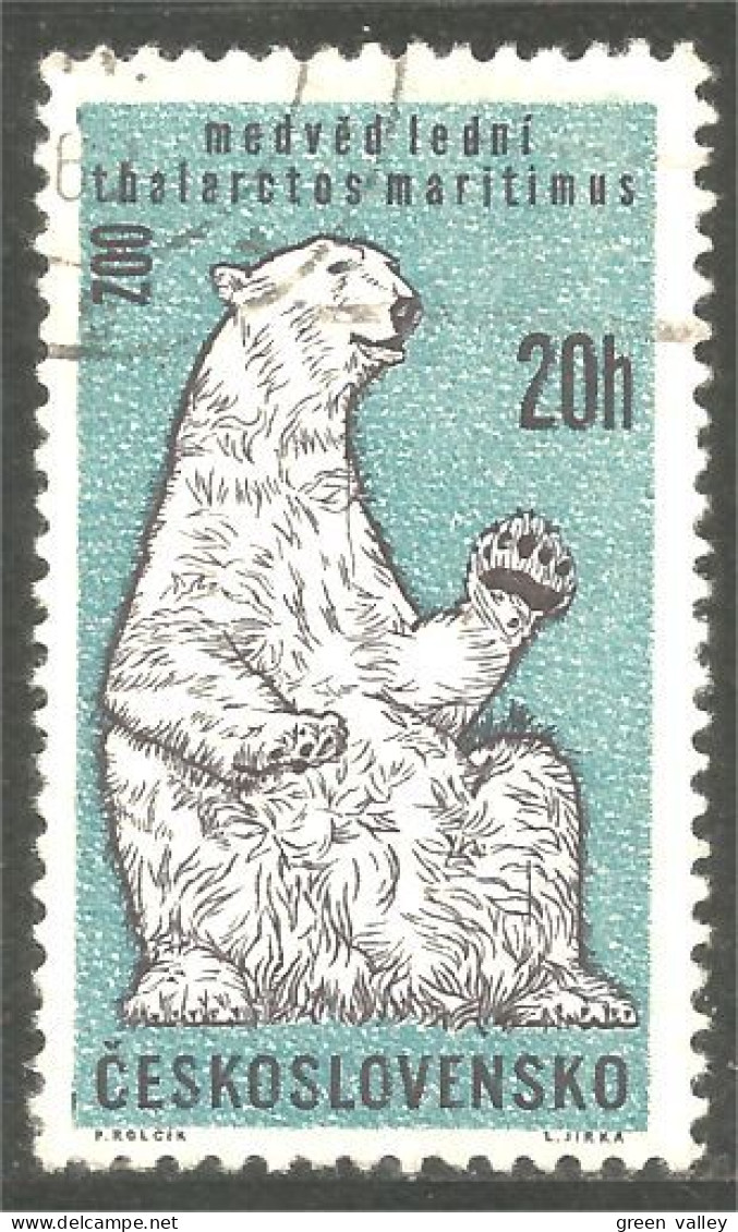 AS-160 Tchécoslovaquie Bar Ours Polaire Polar Bear Orso Suportar Soportar Oso - Bears