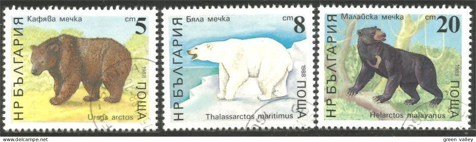 AS-158a Bulgarie Bar Ours Polaire Polar Bear Orso Suportar Soportar Oso - Ours