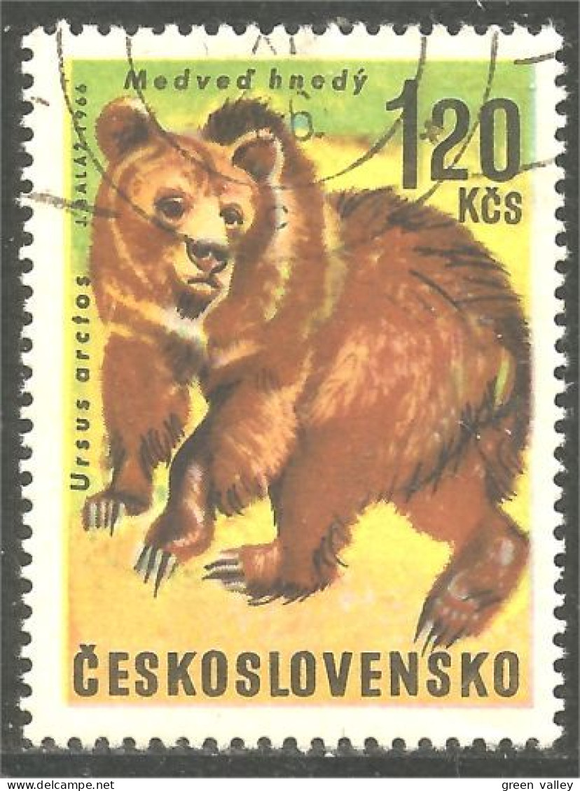 AS-159 Tchécoslovaquie Bar Ours Bear Orso Suportar Soportar Oso - Bears