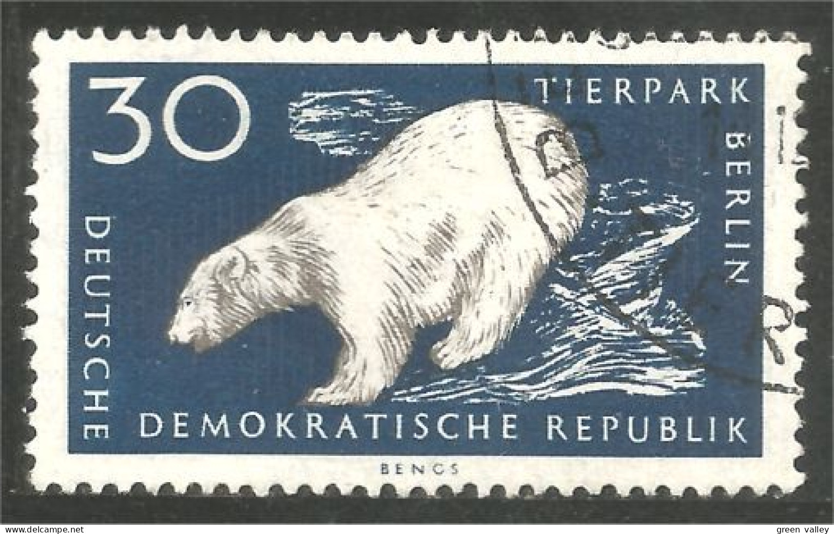 AS-162 DDR Bar Ours Polaire Polar Bear Orso Suportar Soportar Oso MNH ** Neuf SC - Bears