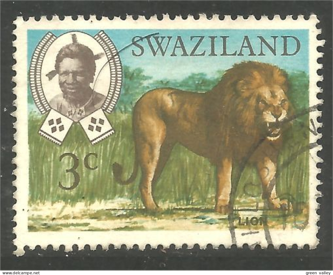 AS-144 Swaziland Lion Lowe Leeuw Leon Leone - Roofkatten