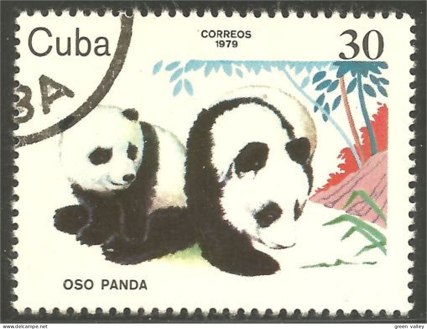 AS-138 Cuba Panda Bar Ours Bear Orso Suportar Soportar Oso - Ours