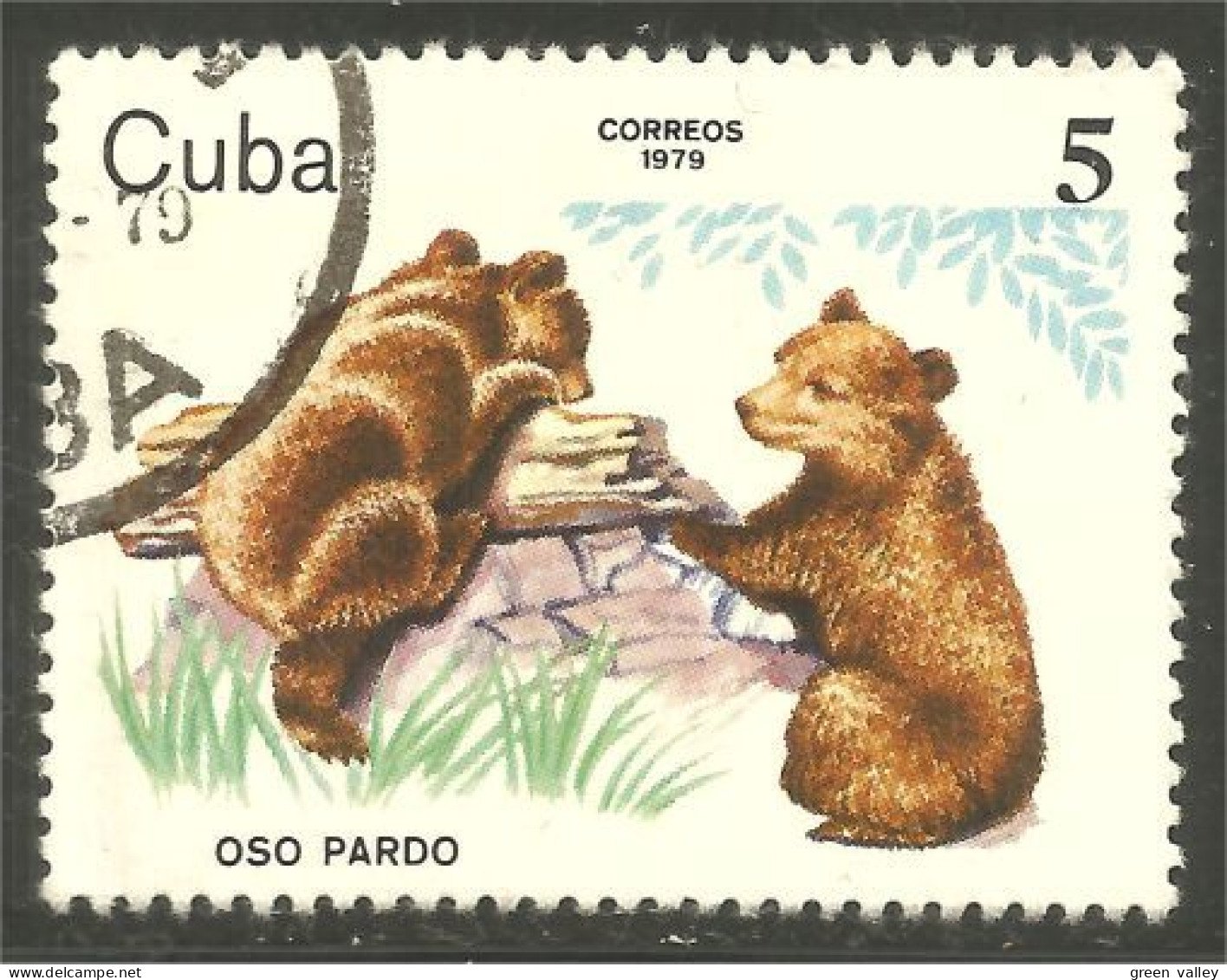 AS-137 Cuba Bar Ours Bear Orso Suportar Soportar Oso - Beren