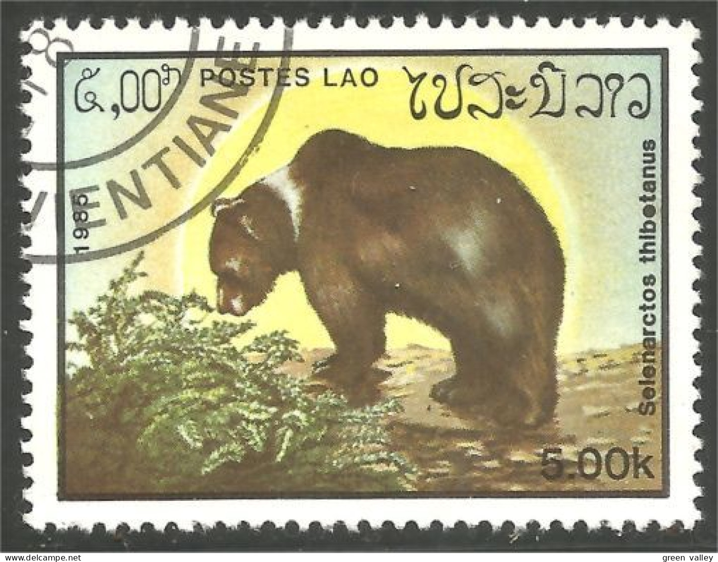 AS-141 Laos Bar Ours Bear Orso Suportar Soportar Oso - Bären
