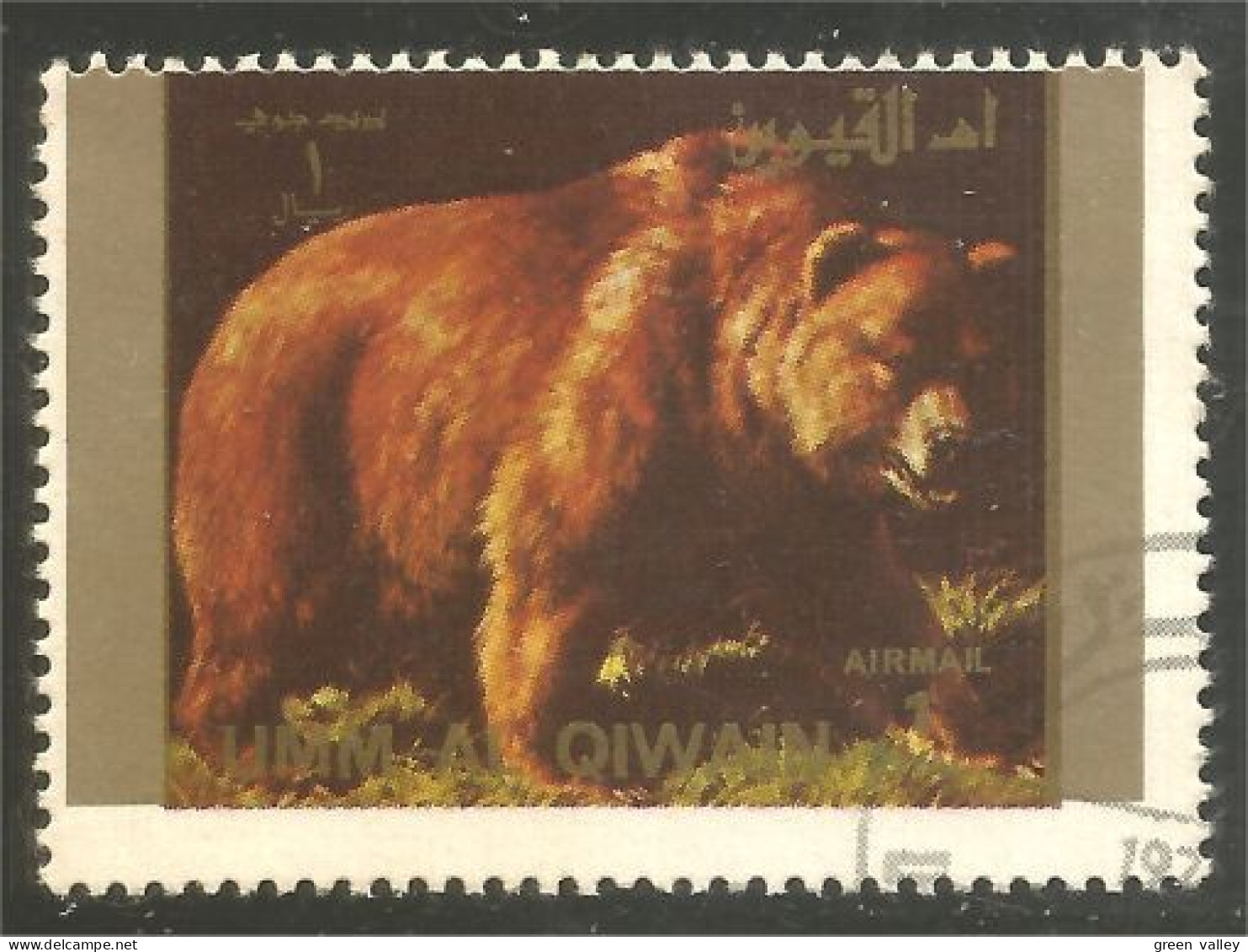 AS-133 Umm Al Qiwain Bar Ours Bear Orso Suportar Soportar Oso - Bears