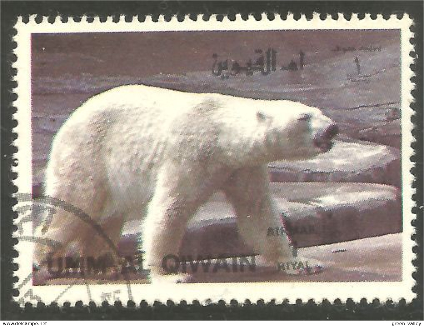 AS-134 Umm Al Qiwain Bar Ours Bear Orso Suportar Soportar Oso - Bears