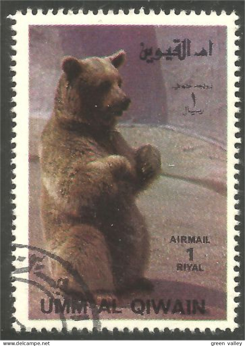 AS-128 Umm Al Qiwain Bar Ours Bear Orso Suportar Soportar Oso - Bears