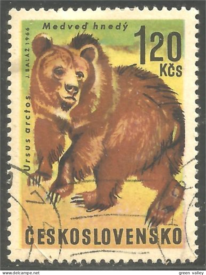 AS-129 Tchecoslovaquie Bar Ours Bear Orso Suportar Soportar Oso - Bears