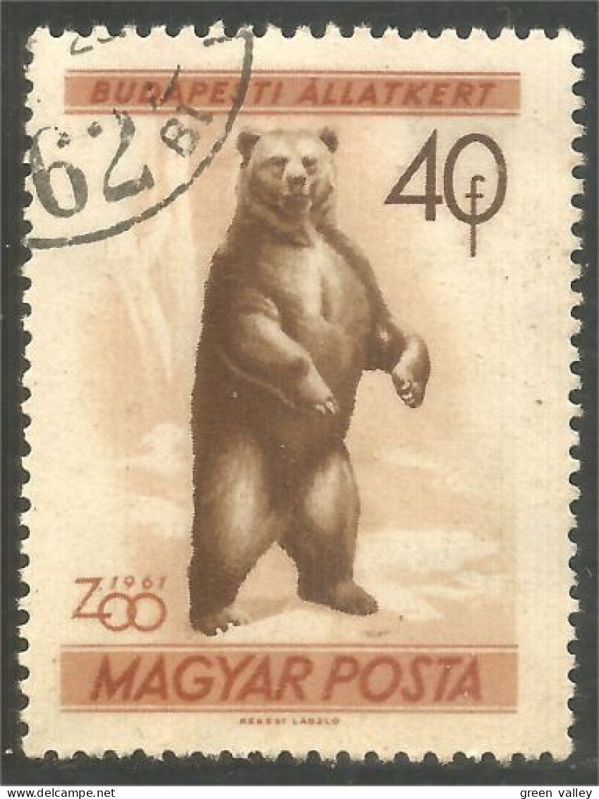 AS-124 Hongrie Bar Ours Bear Orso Suportar Soportar Oso - Bären