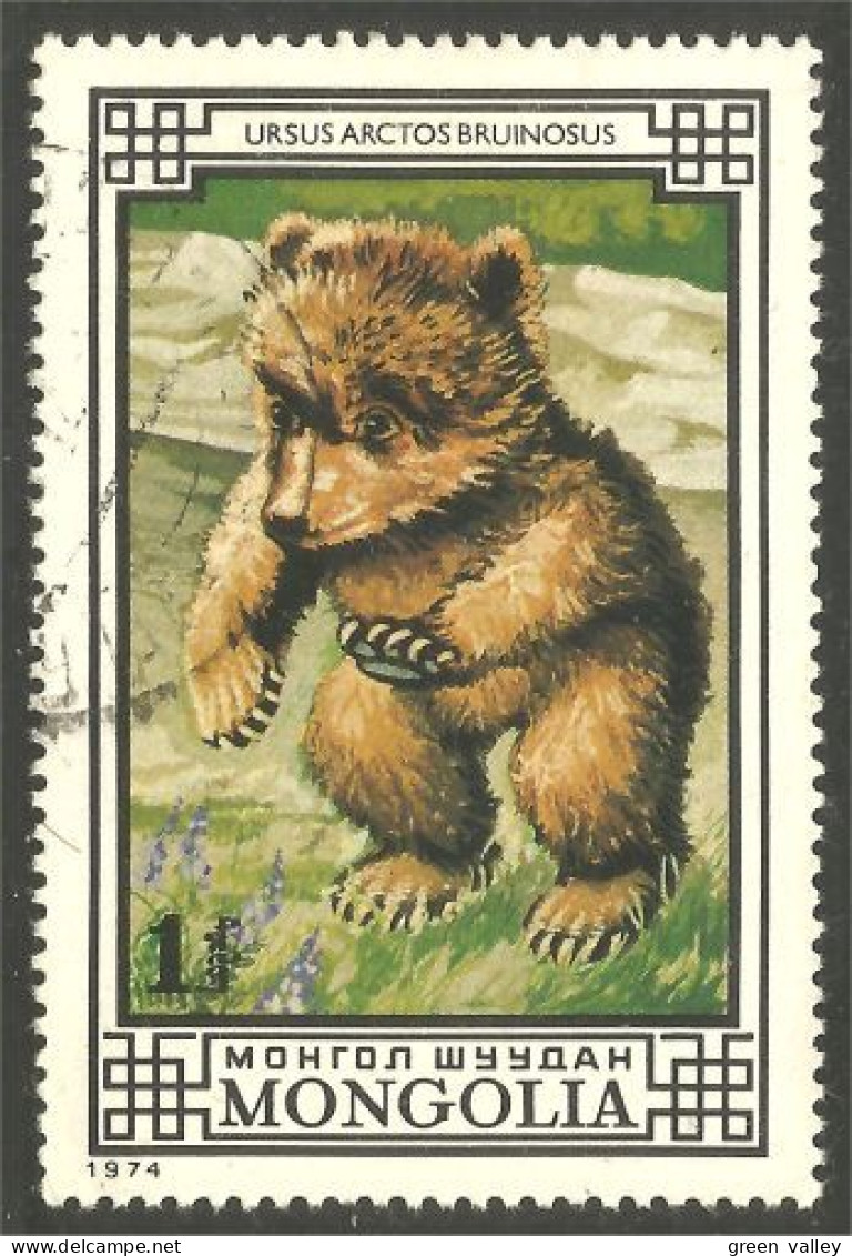 AS-117 Mongolie Bar Ours Bear Orso Suportar Soportar Oso - Beren