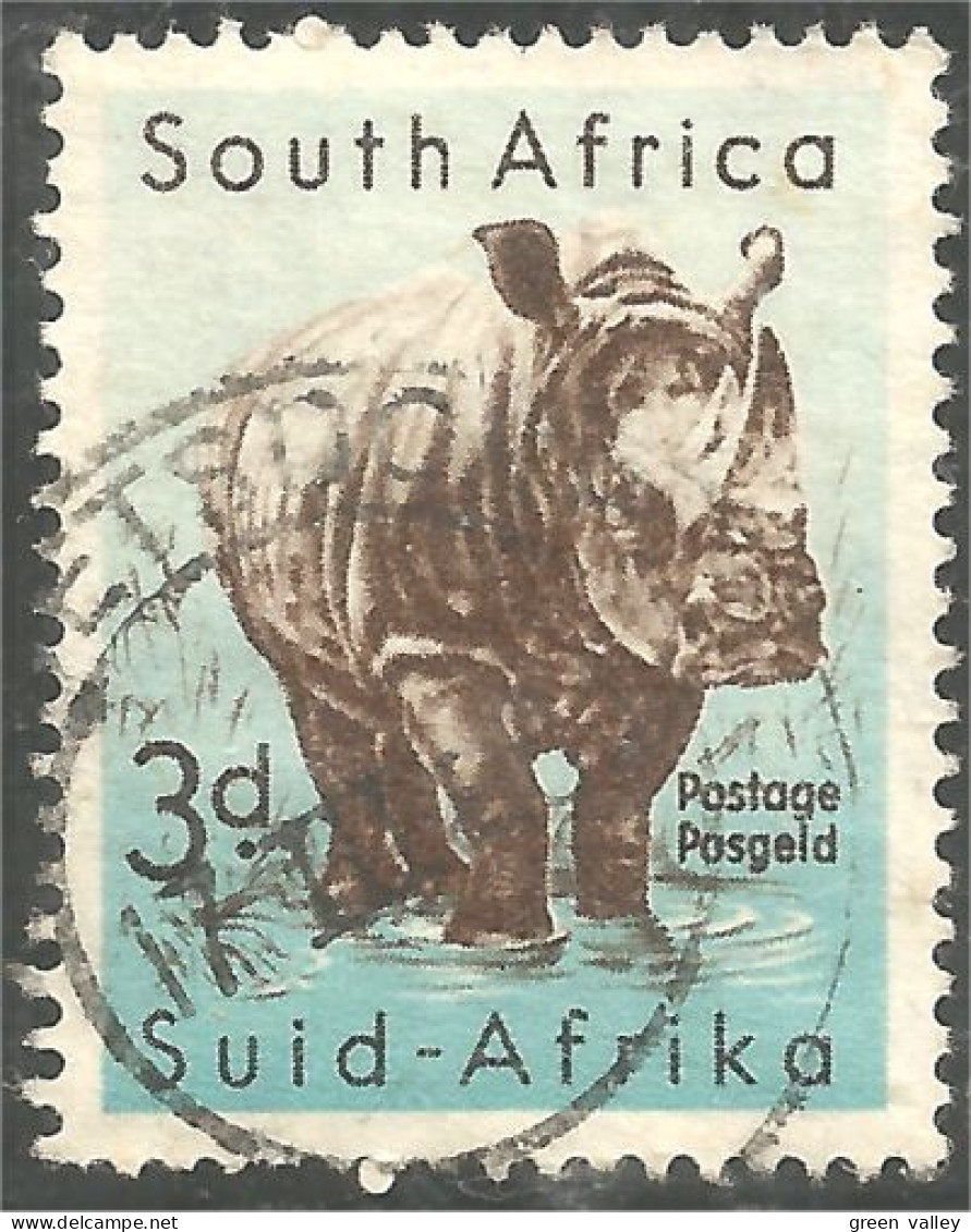 AS-106a Rhinoceros Neushoorn Nashorn Rinoceronte - Neushoorn