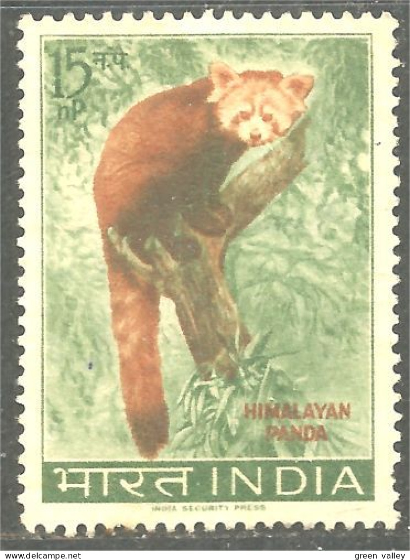 AS-103 India Panda Bar Ours Bear Orso Suportar Soportar Oso - Other & Unclassified