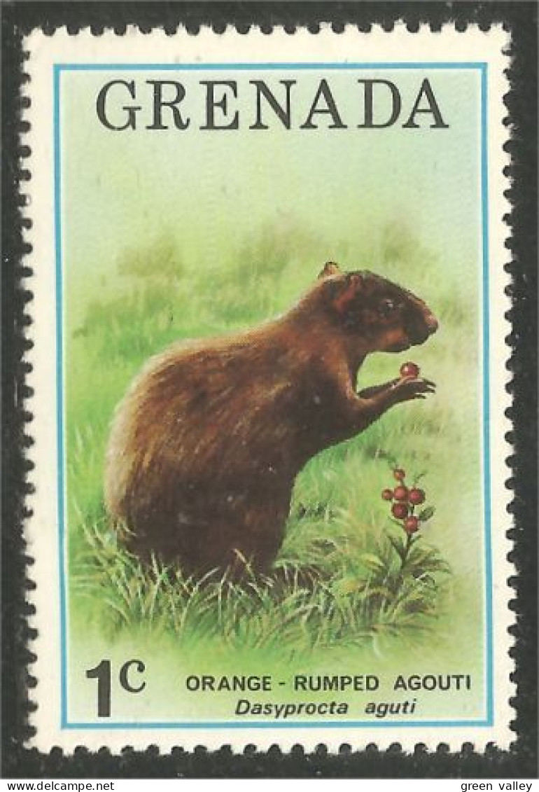 AS-102 Grenada Agouti MNH ** Neuf SC - Other & Unclassified