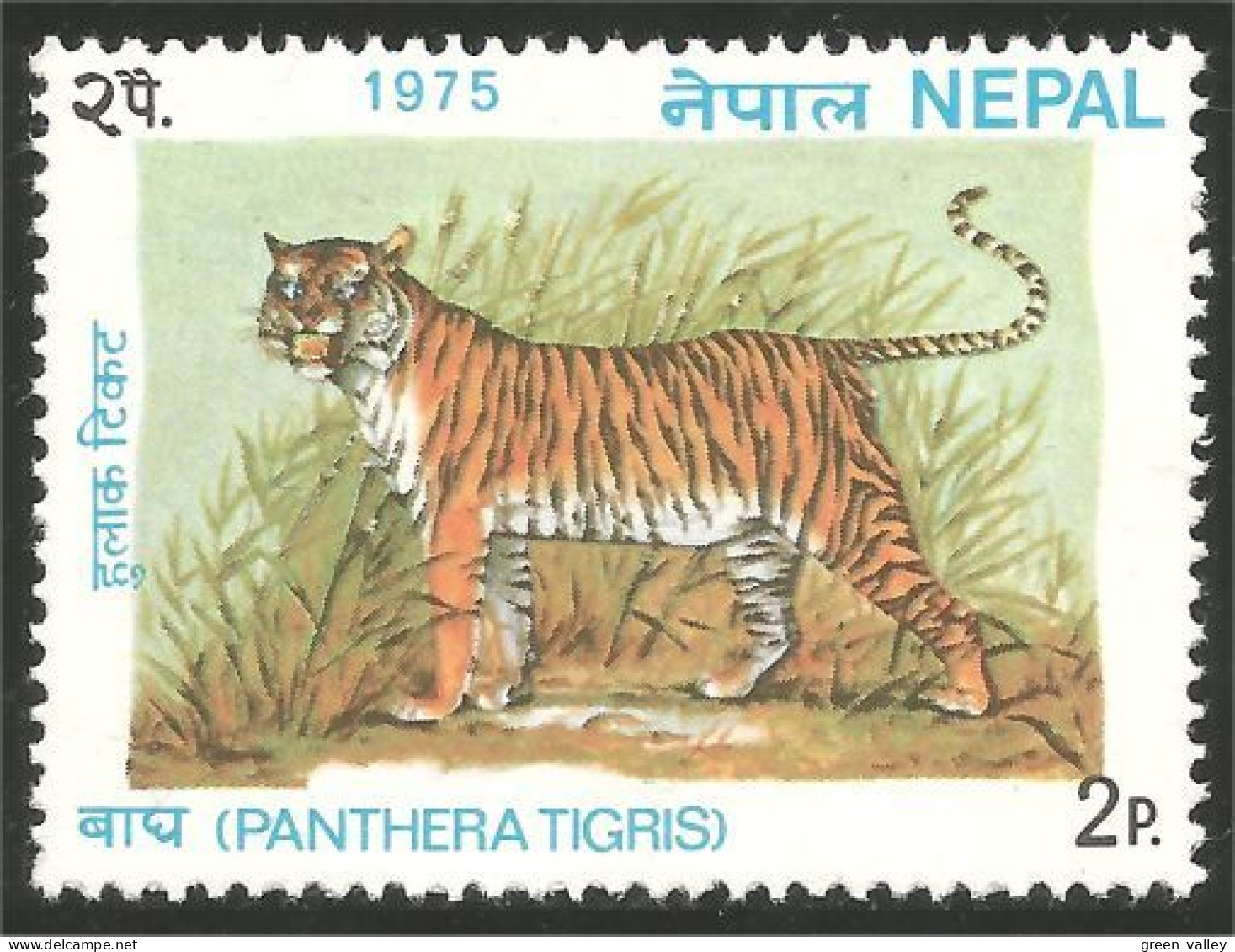 AS-88 Nepal Tigre Tiger Tigger Félin Feline MVLH * Neuf CH Très Légère - Roofkatten