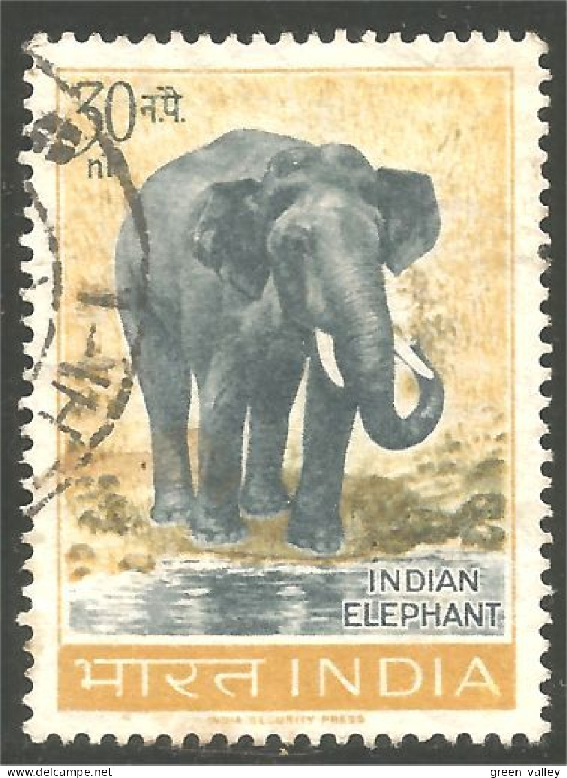 AS-70 India Elephant Elefante Norsu Elefant Olifant - Elefanten