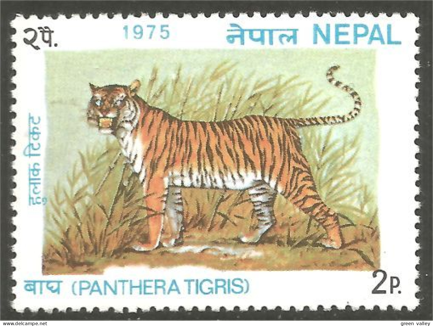 AS-36 Nepal Tigre Tiger Tigger Tijger MNH ** Neuf SC - Big Cats (cats Of Prey)