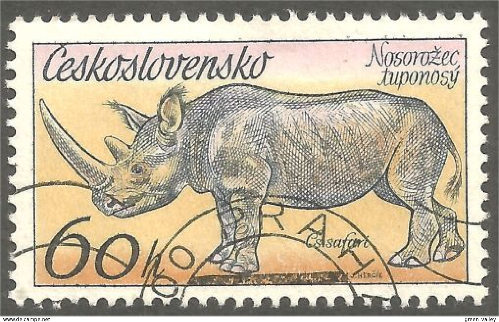 AS-13 Ceskoslovenko Rhinocéros Rinoceronte Nashorn Neushoorn - Rhinoceros