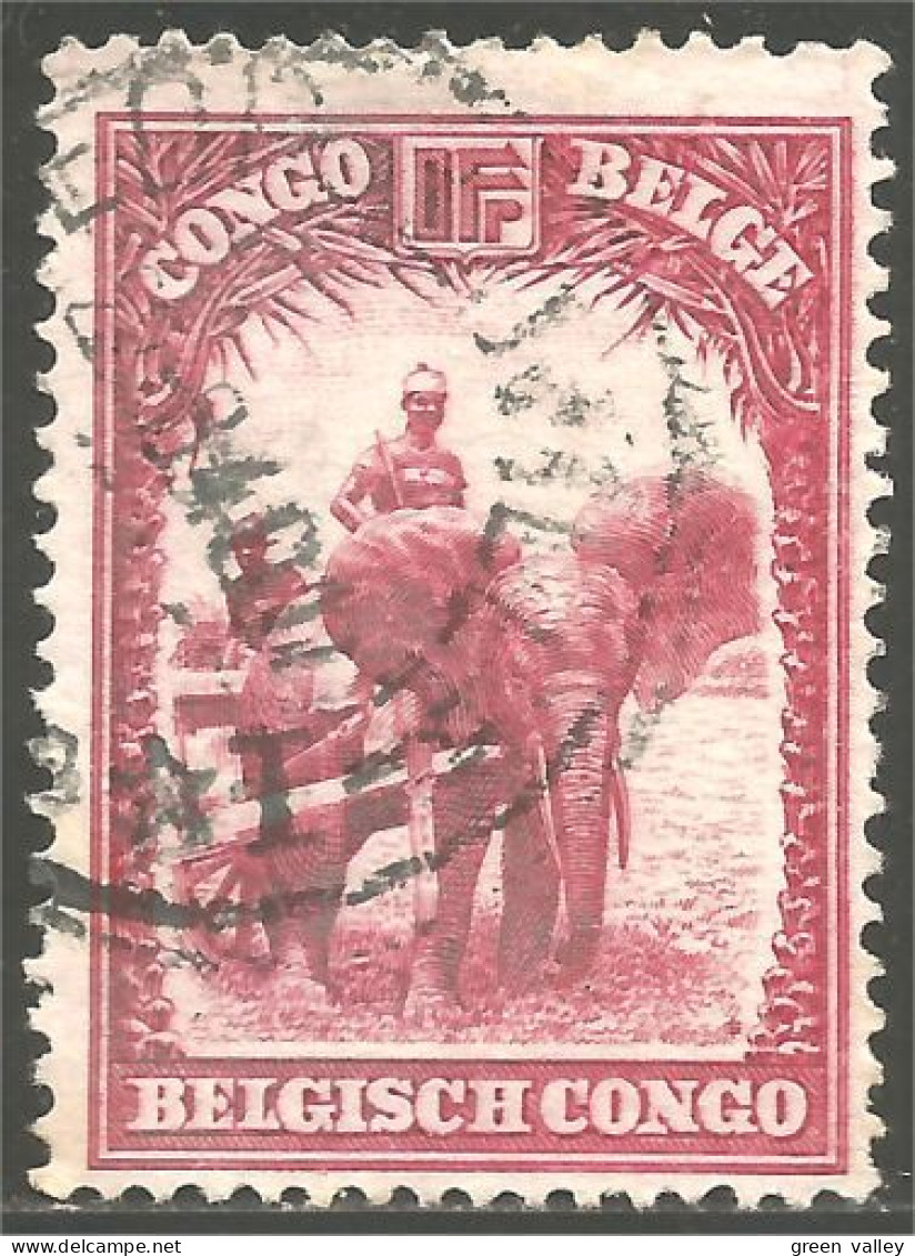 AS-8 Congo Belge Elephant Elefante Norsu Elefant Olifant - Elefanten