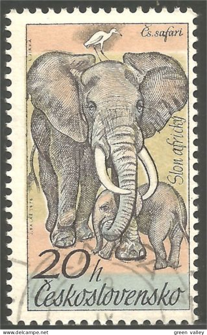 AS-6 Ceskoslovenko Elephant Elefante Norsu Elefant Olifant - Elefantes