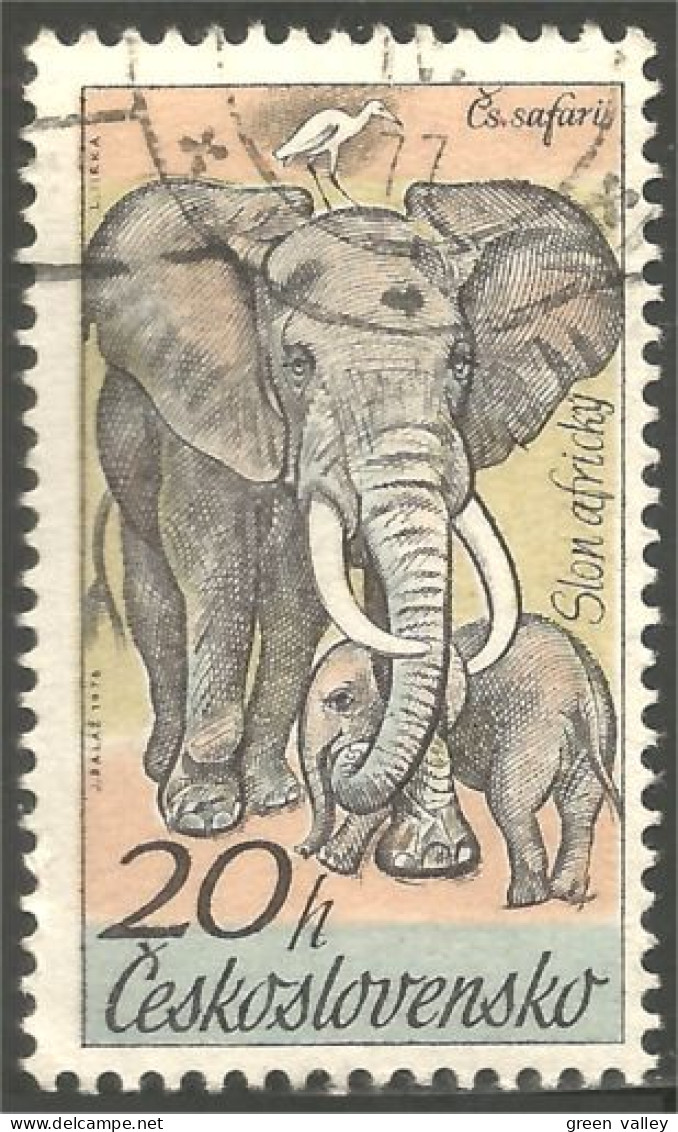 AS-4 Ceskoslovenko Elephant Elefante Norsu Elefant Olifant - Eléphants