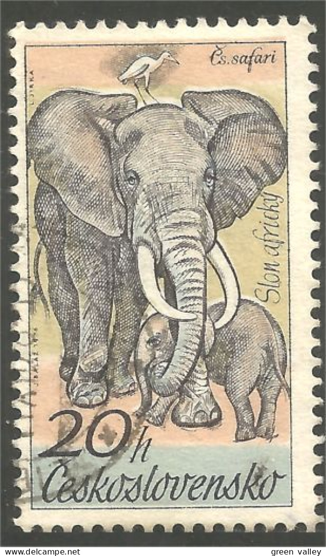 AS-5 Ceskoslovenko Elephant Elefante Norsu Elefant Olifant - Eléphants