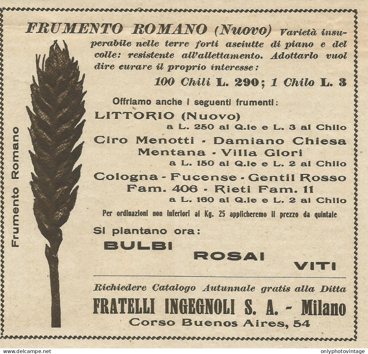 Frumento Romano - F.lli Ingegnoli - Pubblicità 1935 - Advertising - Pubblicitari