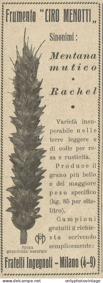 Frumento Ciro Menotti - F.lli Ingegnoli - Pubblicità 1933 - Advertising - Advertising