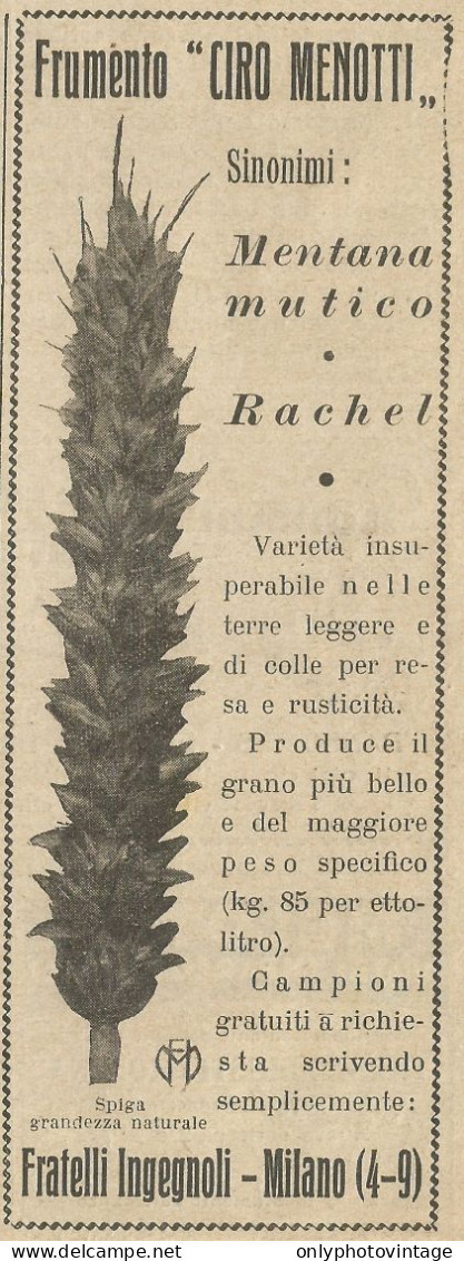 Frumento Ciro Menotti - F.lli Ingegnoli - Pubblicità 1933 - Advertising - Publicités