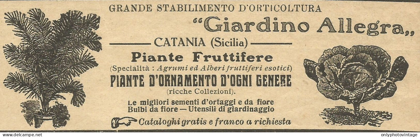 Stabilimento Orticoltura Giardino Allegro_Catania - Pubblicità 1934 - Adv. - Publicités