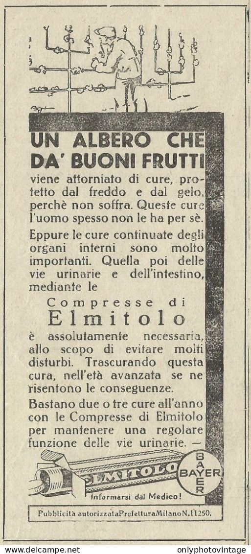 ELMITOLO Un Albero Che Dà Buoni Frutti  - Pubblicità 1934 - Advertising - Advertising