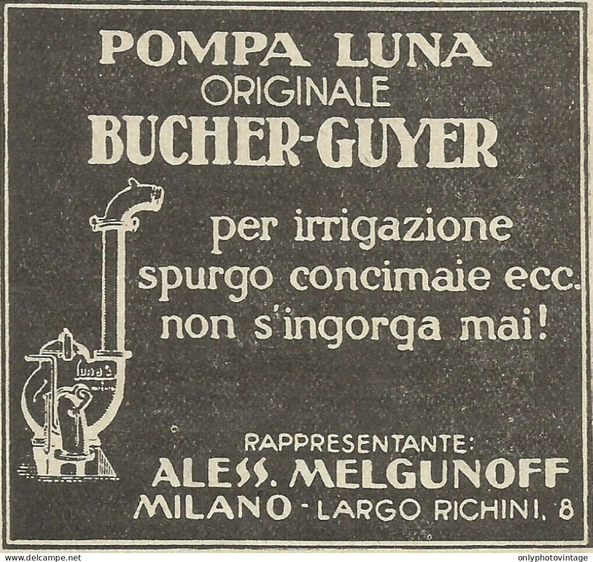 Pompa LUNA Per Irrigazione - Bucher-Guyer - Pubblicità 1934 - Advertising - Advertising