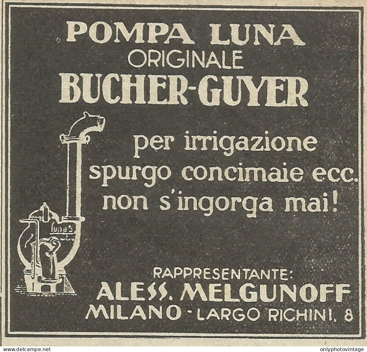 Pompa LUNA Per Irrigazione - Bucher-Guyer - Pubblicità 1934 - Advertising - Publicités
