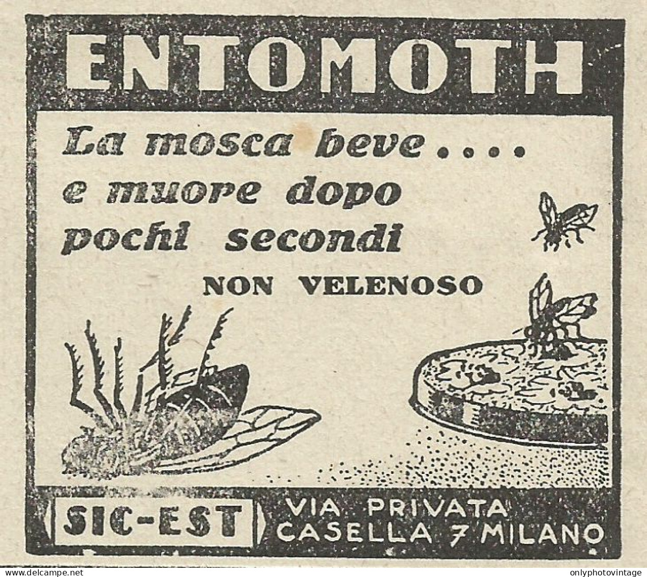 Entomoth La Mosca Beve E Muore - Pubblicità 1930 - Advertising - Advertising