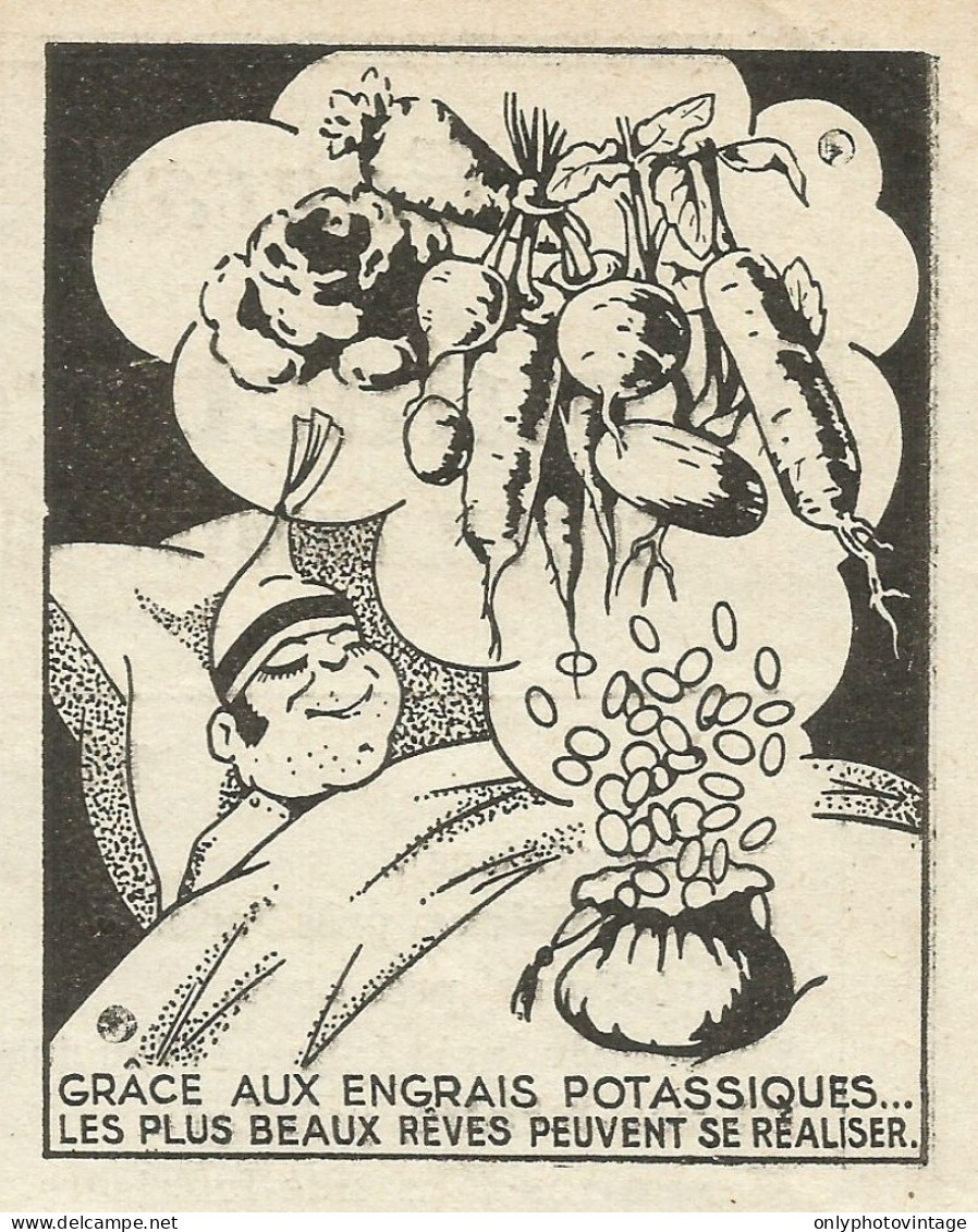 Engrais Potassiques - Pubblicità 1934 - Advertising - Reclame