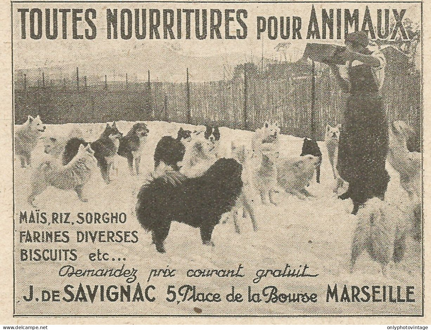 J. De Savignac Toutes Nourritures Pour Animaux - Pubblicità 1929 - Advert. - Advertising